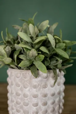 Decorator's Warehouse 5"H x 6”D Stone Geo Dotted Hobnail Pot > Christmas Decor|Spring Decor