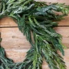 Decorator's Warehouse 24” Iced Garden Norfolk Pine Wreath > Natural Greenery|Christmas Decor