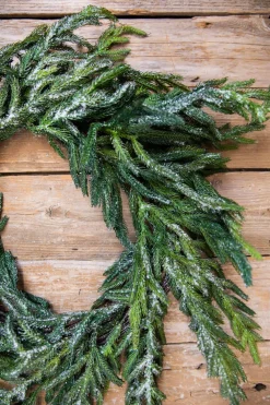 Decorator's Warehouse 24” Iced Garden Norfolk Pine Wreath > Natural Greenery|Christmas Decor