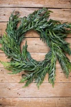 Decorator's Warehouse 24” Iced Garden Norfolk Pine Wreath > Natural Greenery|Christmas Decor