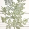 Decorator's Warehouse 19'' Incense Cedar Glitter Spray - Sage > Christmas Decor|Sage & Pearl