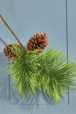Decorator's Warehouse 22" Jumbo Pine Spray with Pinecones > Cardinal|Christmas Sprays