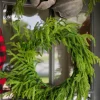 Decorator's Warehouse 24” Just Cut Norfolk Pine Wreath > Cardinal|60" Deluxe Norfolk Pine Garland