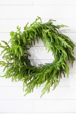 Decorator's Warehouse 24” Just Cut Norfolk Pine Wreath > Cardinal|60" Deluxe Norfolk Pine Garland