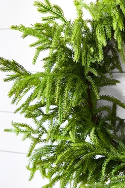Decorator's Warehouse 24” Just Cut Norfolk Pine Wreath > Cardinal|60