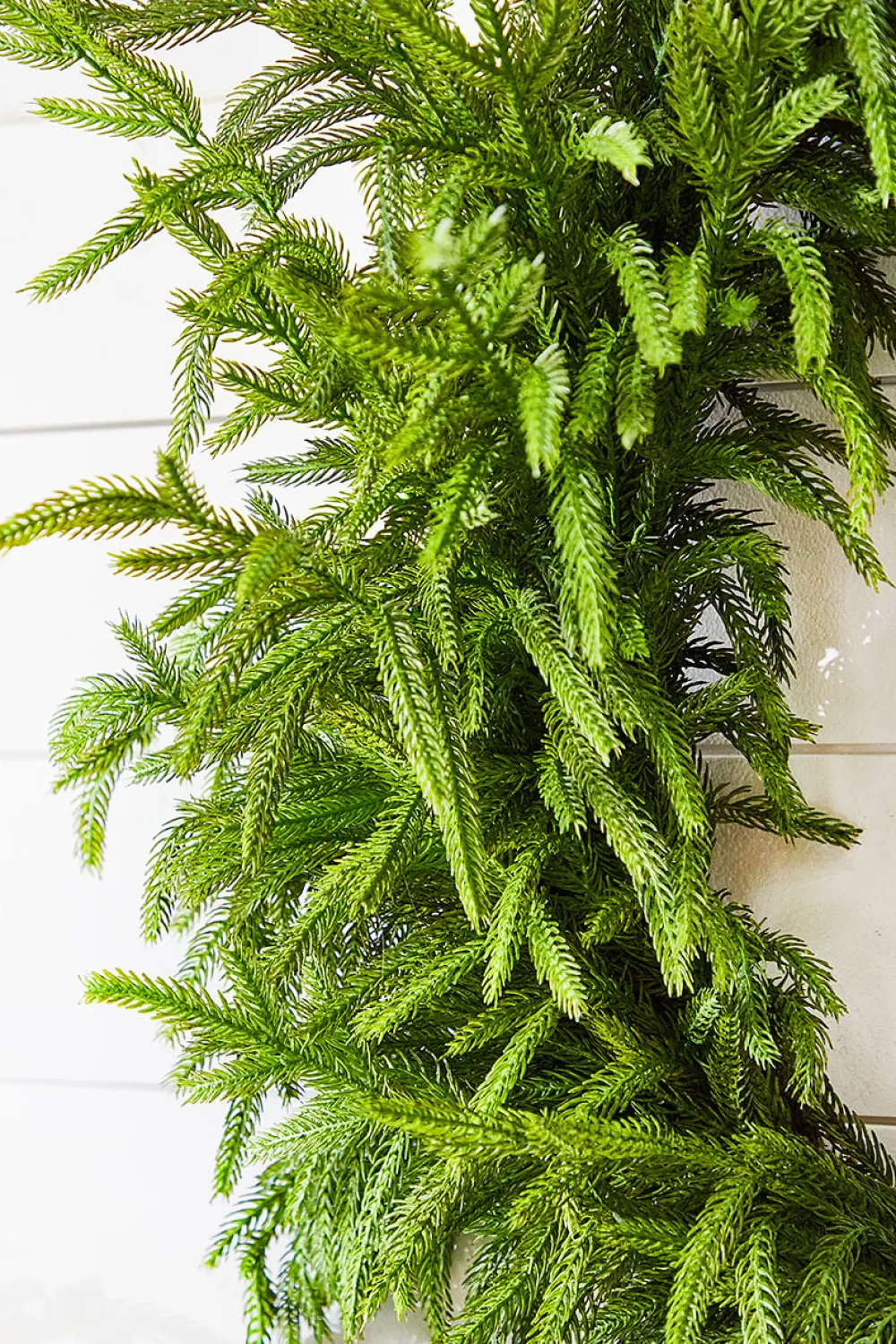 Decorator's Warehouse 30" Just Cut Real Touch Norfolk Pine Wreath > All Wreaths|Believe