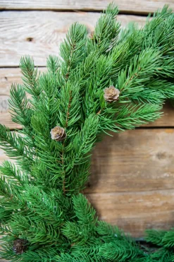 Decorator's Warehouse 24” Just Cut Spruce Wreath > Cardinal|Christmas Decor