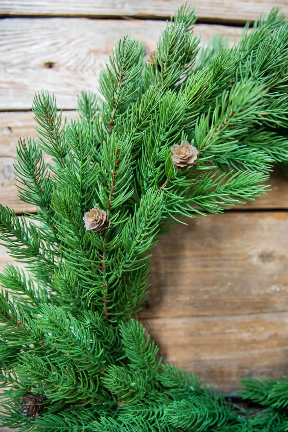 Decorator's Warehouse 24” Just Cut Spruce Wreath > Cardinal|Christmas Decor