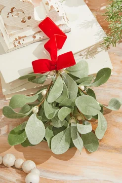 Decorator's Warehouse 12" Lambs Ear Mistletoe Kissing Ball > Christmas Decor|Believe