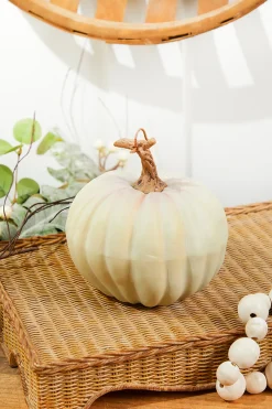 Decorator's Warehouse 6" Light Green Harvest Vine Pumpkin > Fall Decor|Fall Decor