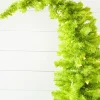 Decorator's Warehouse 5' Lime Green Whimsical Tree with LED Lights > Storyville Trees|Christmas Sale