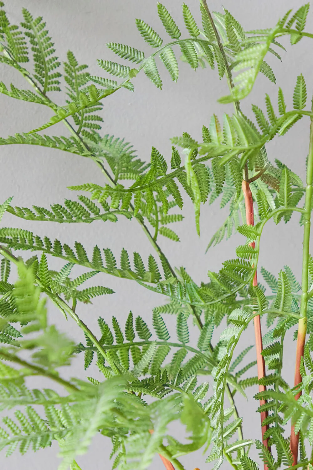 Decorator's Warehouse 33" Luxe Potted Fern > Spring Greenery|Christmas Decor