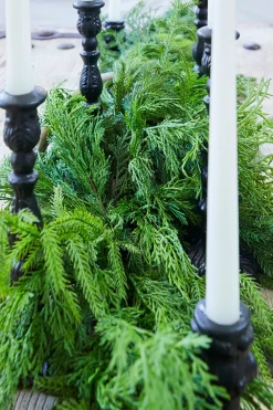 Decorator's Warehouse 72” Luxury Cyprus Norfolk Swag > Real Touch Garlands|Cardinal