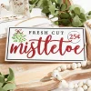 Decorator's Warehouse 12.5"L x 6"H Fresh Cut Mistletoe Sign > Believe|Christmas Decor
