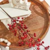 Decorator's Warehouse 23” Mini Crabapple Spray > Cardinal|Christmas Sprays