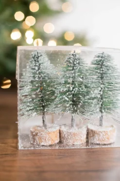 Decorator's Warehouse 5" Mini Green Bottlebrush Trees - Set of 3 > Winter Woodland|Tabletop & Accent Trees