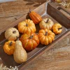 Decorator's Warehouse Mixed Pumpkin Asssortment - Set of 9 > Fall Decor|Fall Decor