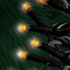 Decorator's Warehouse 3mm Twinkle Orange 100 LED Micro Light Set > Outdoor Lighting|Light Strands