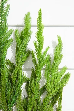 Decorator's Warehouse 38” Natural Touch Norfolk Pine Christmas Spray > Natural Greenery|Christmas Sprays
