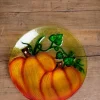 Decorator's Warehouse Painted Glass Harvest Pumpkin Plate > Fall Decor|Fall Decor