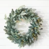 Decorator's Warehouse 22" Park Hill Frosted Blue Spruce LED Wreath > Under 30"|Christmas Wreaths