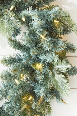 Decorator's Warehouse 22" Park Hill Frosted Blue Spruce LED Wreath > Under 30"|Christmas Wreaths