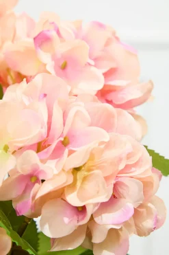 Decorator's Warehouse 20.5" Peach Hydrangea Bush > Easter Table Decor|Easter Decor