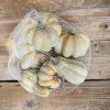 Decorator's Warehouse 6 Piece Pumpkins & Gourds Set > Fall Decor|Fall Decor