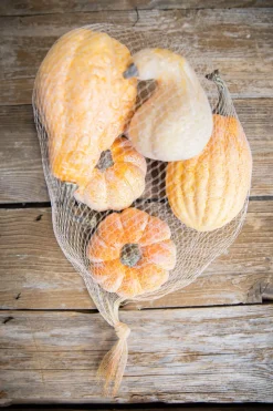 Decorator's Warehouse 6 Piece Pumpkins & Gourds with Mesh Bag > Fall Decor|Fall Decor