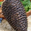 Decorator's Warehouse 12" Pinecone Ornament > Christmas Ornaments|Winter Woodland