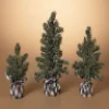 Decorator's Warehouse Pine Tree With Plaid Fabric - Medium > Best Sellers|Tabletop & Accent Trees