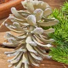 Decorator's Warehouse 5” Plastic Glitter Long Leaf Pinecone > Christmas Ornaments|Winter Woodland