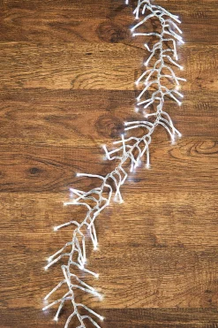 Decorator's Warehouse 53' Platinum Elite Cluster Lights - 1560L Classic White (Clear Cord) > Vintage Christmas Lights|Twinkle Cluster Lights
