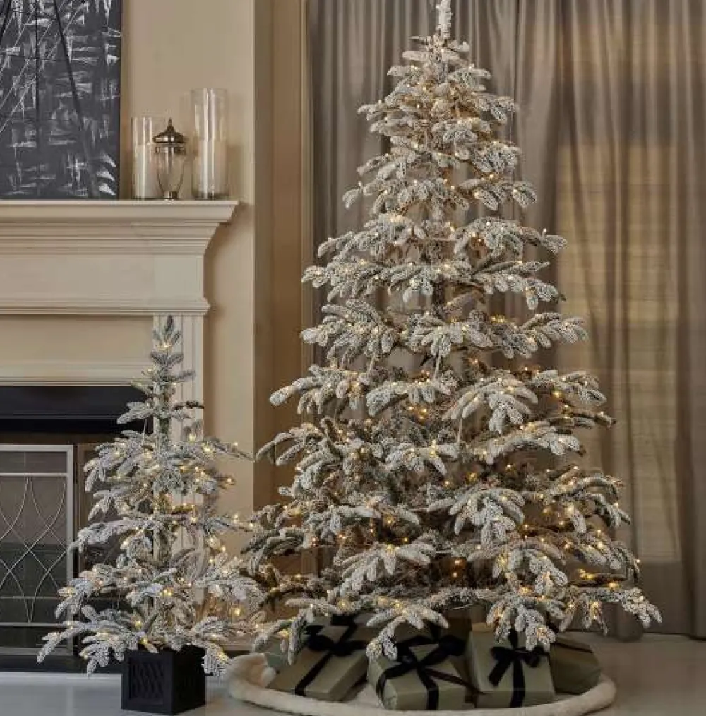 Decorator's Warehouse 4' Potted Jackson Flocked Pine with 150 Warm White LED Lights > 4 Feet & Under|Christmas Decor