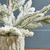 Decorator's Warehouse 18" Potted Noble Fir Tree with Snow > Tabletop & Accent Trees|Christmas Decor