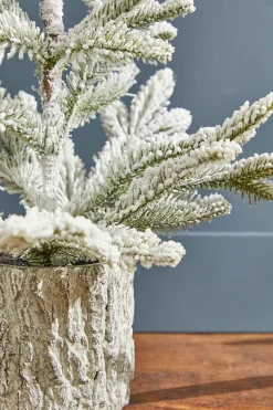 Decorator's Warehouse 18" Potted Noble Fir Tree with Snow > Tabletop & Accent Trees|Christmas Decor