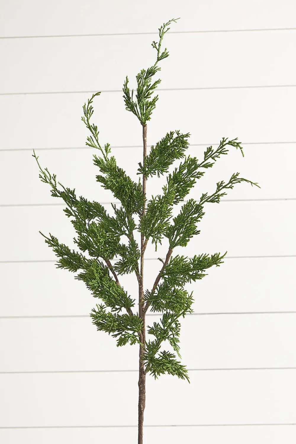 Decorator's Warehouse 38" Real Touch Cyprus Spray > Cardinal|Natural Greenery