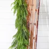 Decorator's Warehouse 47" Real Touch Norfolk Pine Dripping Garland > Believe|Natural Greenery