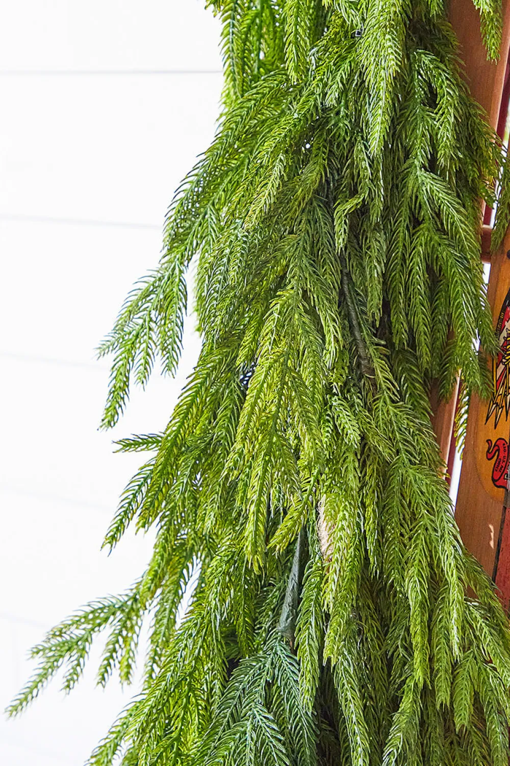 Decorator's Warehouse 47" Real Touch Norfolk Pine Dripping Garland > Believe|Natural Greenery