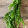 Decorator's Warehouse 192” Real Touch Norfolk Pine Garland > Nutcracker|Believe