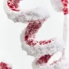 Decorator's Warehouse 22.5" Red & White Snow Curly Spray > Christmas Sprays|Christmas Decor