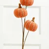 Decorator's Warehouse 25” Sienna Triple Natural Weave Autumn Pumpkin Spray > Fall Decor|Fall Decor