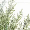 Decorator's Warehouse 18" Snow Cedar Pine Bush > Natural Greenery|Christmas Decor