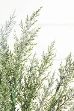 Decorator's Warehouse 18" Snow Cedar Pine Bush > Natural Greenery|Christmas Decor