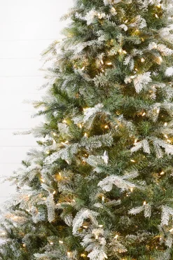 Decorator's Warehouse 7.5' Snow Tip Aspen with 650 LED Lights > Christmas Decor|Flocked Or White
