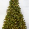 Decorator's Warehouse 10' Southern Fir with 3000 3mm Lights > Green|Color Changing
