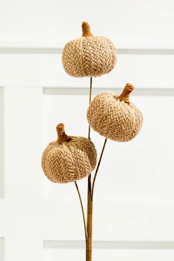 Decorator's Warehouse 25” Tan Triple Natural Weave Autumn Pumpkin Spray > Fall Decor|Fall Decor