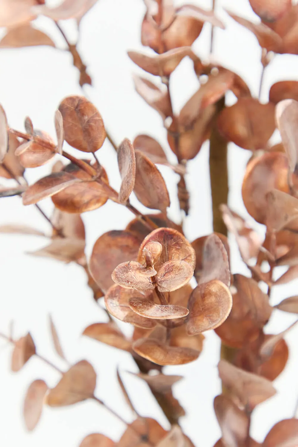 Decorator's Warehouse 24" Warm Copper Eucalyptus Spray > Christmas Sprays|Christmas Decor
