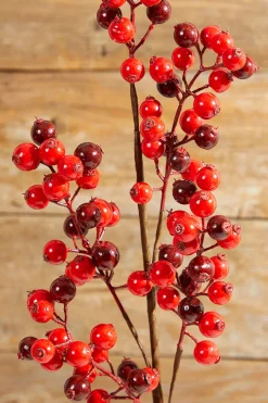 Decorator's Warehouse 27" WP Berry Spray X 5 > Cardinal|Farmhouse