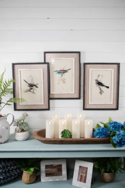 Decorator's Warehouse 15" x 20" Framed Bird Print with Glass > Christmas Decor|Spring Decor